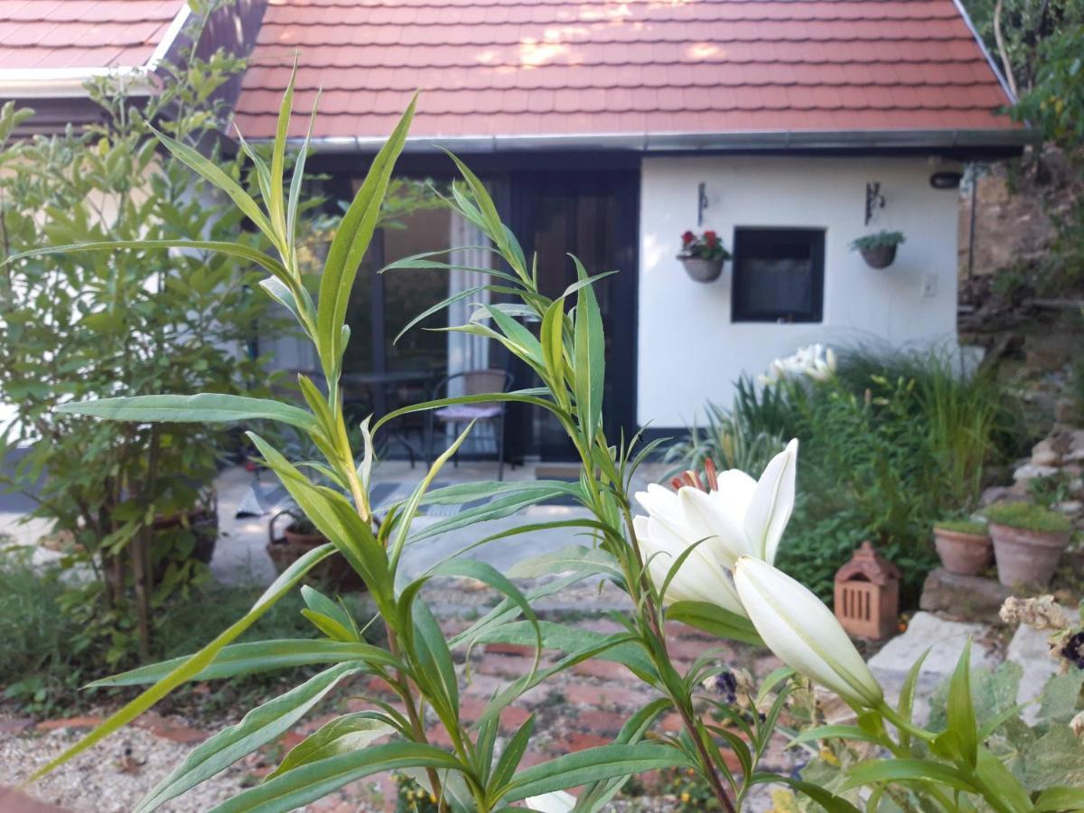 Kismadar Vendeghaz Noszvaj Apartment Luaran gambar
