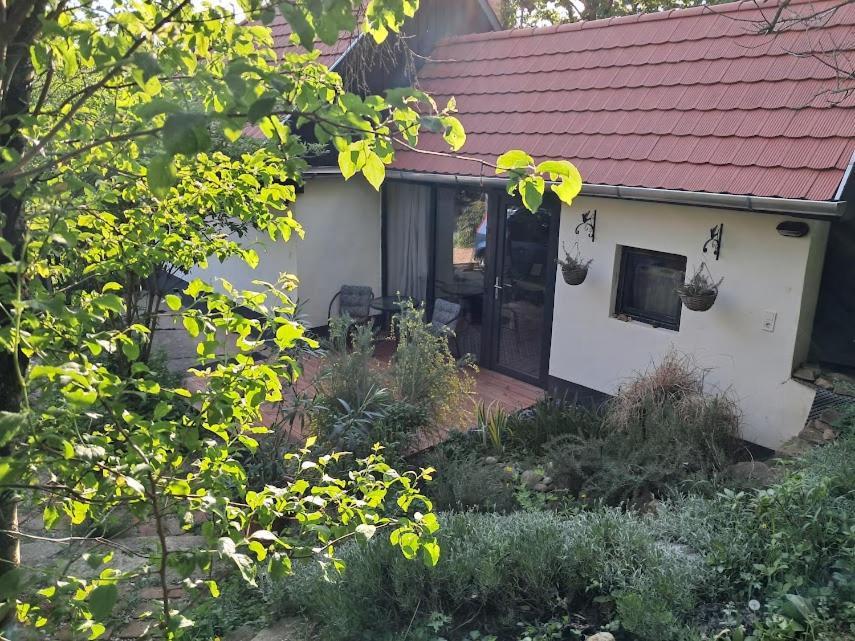 Kismadar Vendeghaz Noszvaj Apartment Luaran gambar